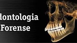 Timeline: Linea de tiempo Odontología Forense