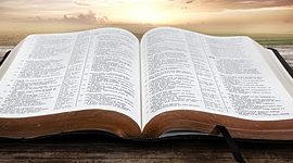 Timeline: El libro indestructible