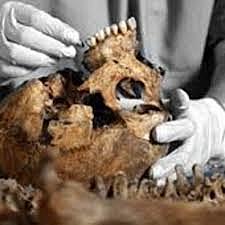 Congreso de Odontología Forense