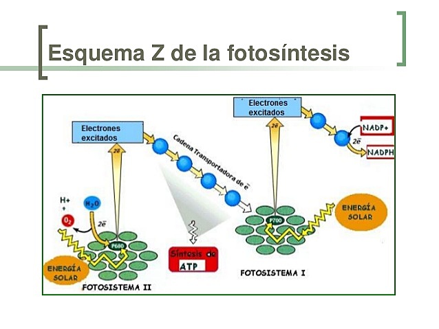 Robin Hill y Fay Bendall