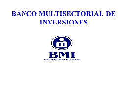 FUNDACIÓN DEL BANCO MULTISECTORIAL DE INVERSIONES.