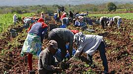 Timeline: Ley de Modernización en Honduras