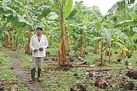 La ley suprime los medios legales que permitían continuar ejecutando una verdadera reforma agraria que redistribuya la tierra de manera equitativa