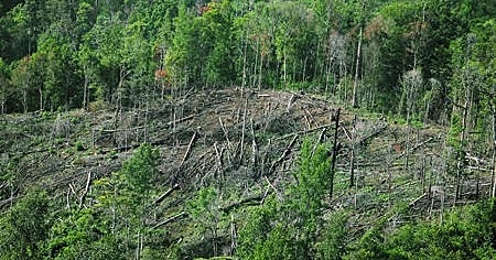 Disposiciones finales y transitorias