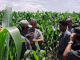 Ley para la Modernización y Desarrollo del Sector Agrícola (LMDSA)