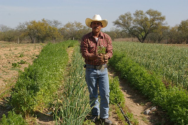 Después de la publicación de la ley