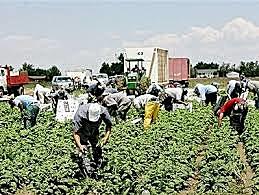 Consecuencia de esta ley