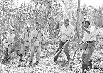 Primera Ley de Reforma Agraria