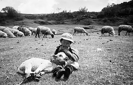 Bachillerato en el campo