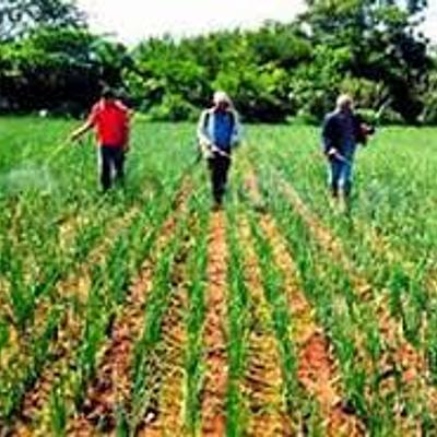 Timeline: Ley Modernización Agrícola en Honduras