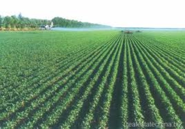 Discovery of Agriculture I