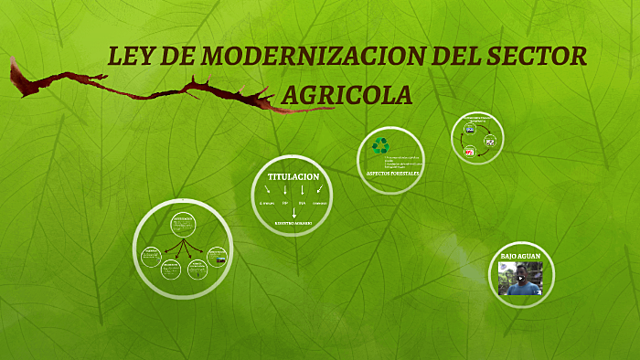 Ley para la modernización y Desarrollo del Sector Agrícola