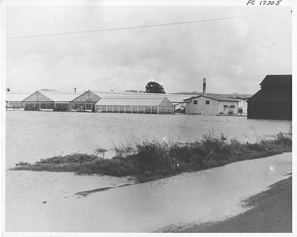 Lillie Mae Jones becomes involved in activism to control flooding along Wildcat Creek.