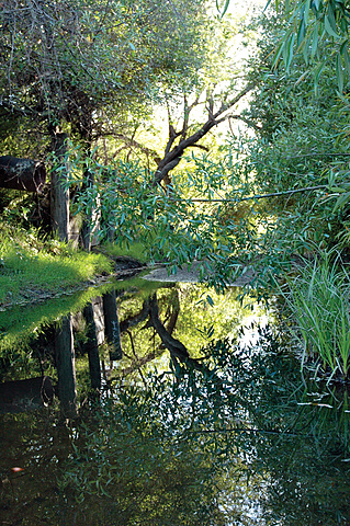 Construction begins on Wildcat Creek.