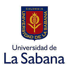 Primeros cursos virtuales