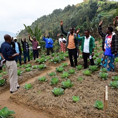 Timeline: Modernización Agrícola en Honduras