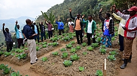 Timeline: Modernización Agrícola en Honduras