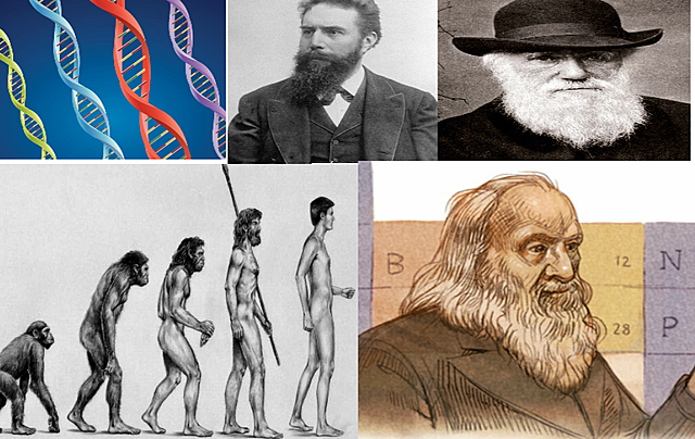 Años 1800 hasta época actual