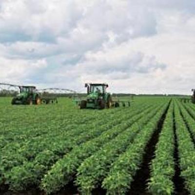 Timeline: Modernización agrícola en Honduras