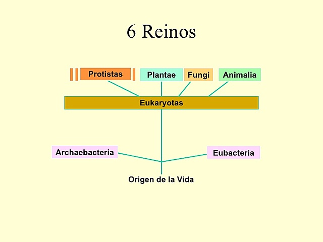 Sistema de seis reinos