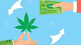 Timeline: Narcotráfico