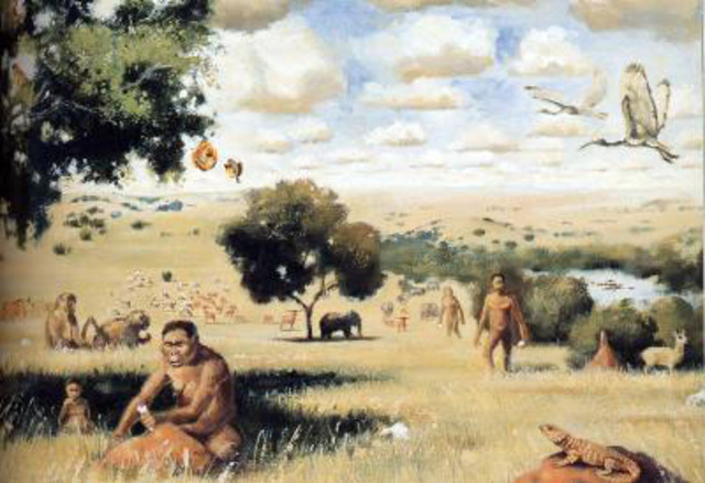The Discovery of Agriculture