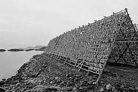 desecracion de la historia