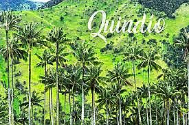 REGIÓN ANDINA-Quindío-Armenia