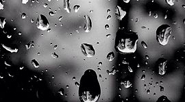 Timeline: derecho civil