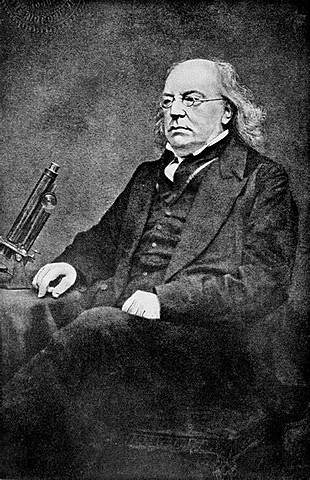 Miles joseph Berkeley