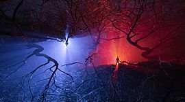 Timeline: the life of jesus