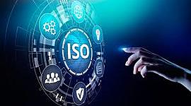 Timeline: Concepto De Calidad