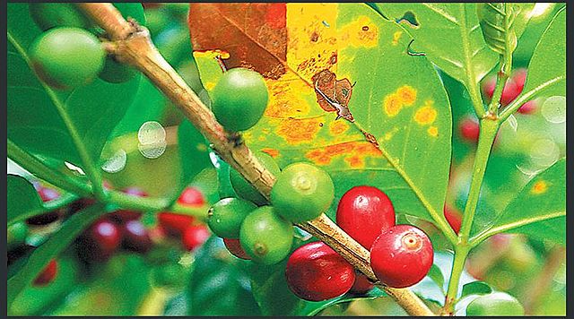 Populorum Progressio 1967. Pablo VI.