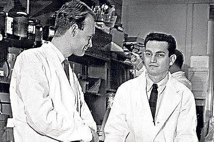 Marshall Warren Nirenberg