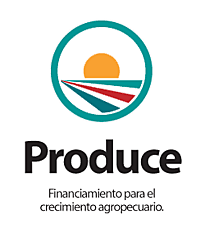 Programa de apoyos directos y productivos al campo (Produce).