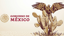 Timeline: Cambios en Políticas Sociales de 1940 a 2000 en México