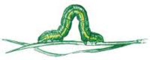 We have our drawing unit