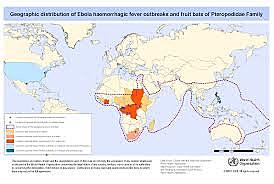 Países afectados por Ébola