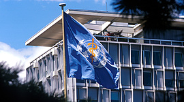 Timeline: L'OMS face à la pandémie