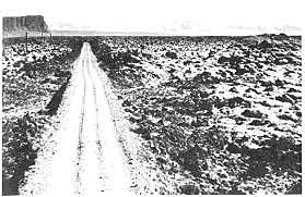 Máximo medieval de actividad solar (manchas solares, ciclo o variación solar).