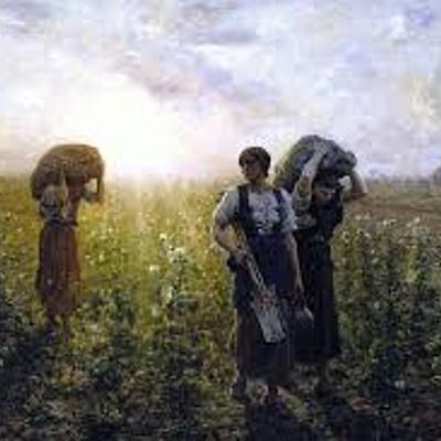 Timeline: Linea del tiempo Naturalismo