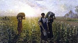 Timeline: Linea del tiempo Naturalismo