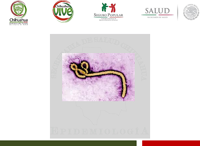 Ébola:Cuadro clínico