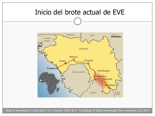 Inicio del brote actual de EVE