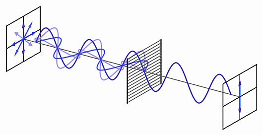 Polarización explicada con ondas transversales