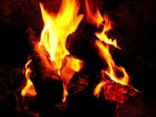 ¿Porque se ven las cosas que nos rodean?