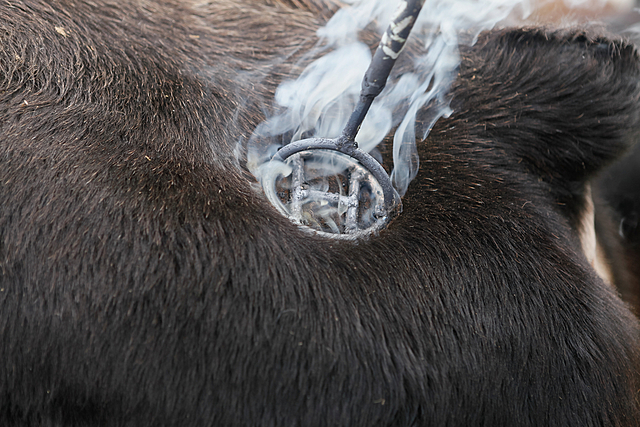 Revolución Industrial del siglo XIX