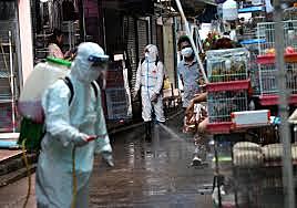 CORONAVIRUS:Epidemiología