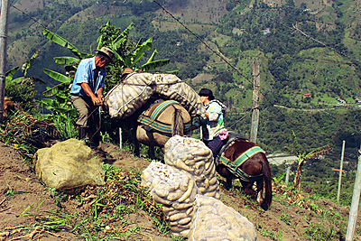 Comunidades rurales y campesinas