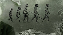 Timeline: Singh’s Charles Darwin Timeline